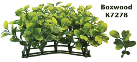 Aquatic Boxwood Plant Mats
